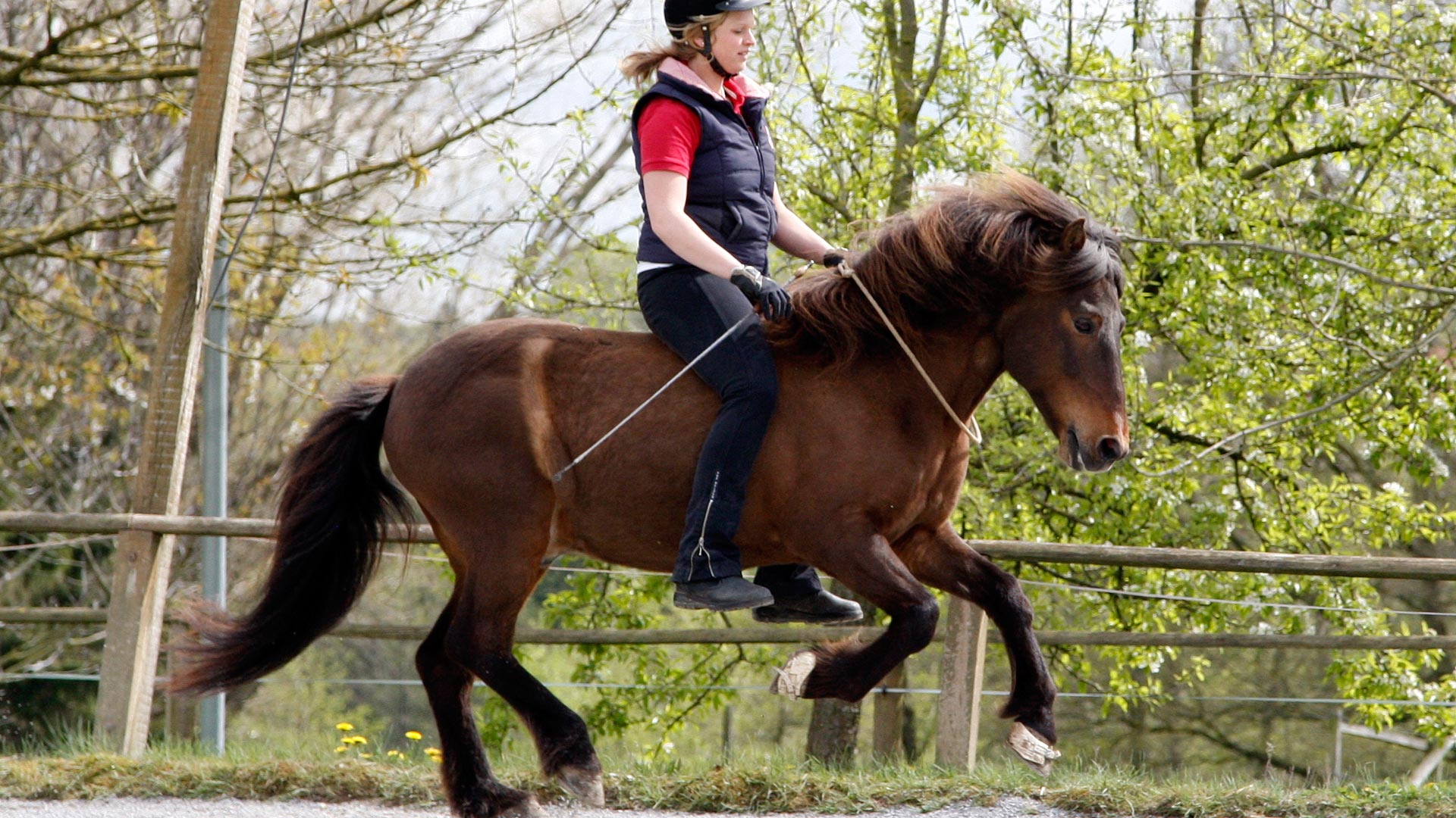 Herzlich willkommen auf dem Sonnenhof Kollmeyer