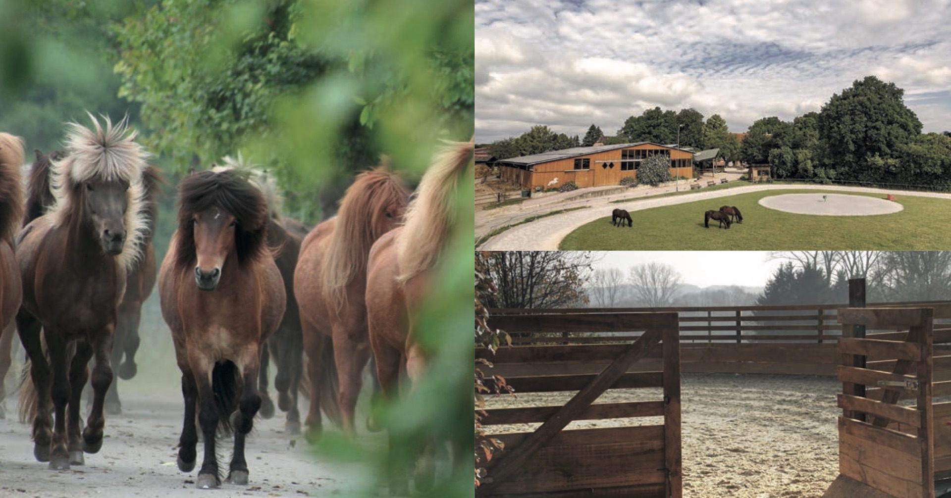 Herzlich willkommen auf dem Sonnenhof Kollmeyer