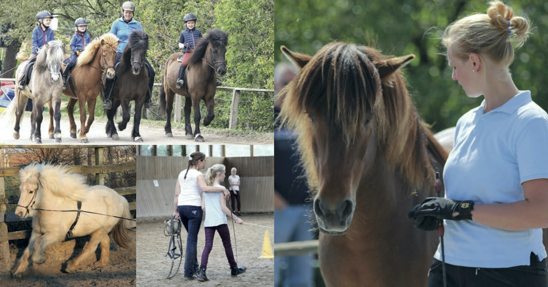 Herzlich willkommen auf dem Sonnenhof Kollmeyer